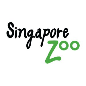 SINGAPOREZOOELEPHANTS